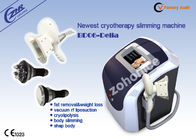 Fat Removal Cryolipolysis sonic Slimming Machine