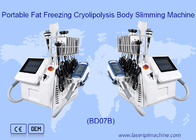 Portable 650nm Cryolipolysis Body Slimming Machine Fat Freezing 6 In1