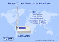 Portable Lcd Veterinary Co2 Laser For Animal Surgery Co2 Laser Surgical Device