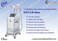 Two Handles Cryolipolysis Fat Freezing Slimming Machine , Beauty Equipment