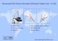 2.3KVA Body Slimming 220v 300µS EMS Muscle Stimulator