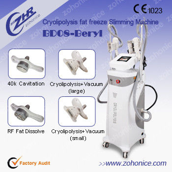 Vertical Cryolipolysis Slimming Machine For Anti-Celluite &amp; Loss Weight