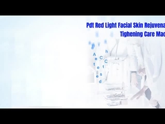 L3B Salon Use 7 Colors Led Light Pdt Lamp Led Light Therapy Machine