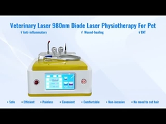 RBS05 980nm Diode Laser Veterinary Laser Therapy for Pets Wound Healing