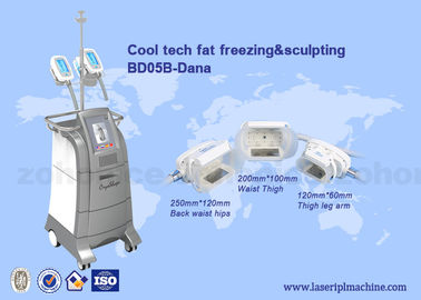 3 Size handles cryolipolysis cool slim body sculpting equipment / criolipolisys machine