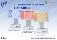 PDT / Photon LED Skin Rejuvenation / Professional PDT LED Light Therapy Machine