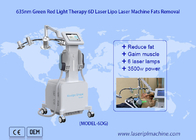 Low Level 6D Laser Fat Reduce 532nm Green 635nm Red Light Therapy Cold Laser Therapy Device