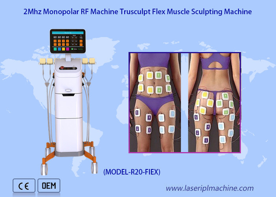 2mhz Monopolar Radio Frequency Machine Weight Loss Cellulite Removal Trushape Flex