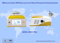 Pets Pain Recovery Surgical 980nm Diode Laser Veterinary Therapy Laser Device