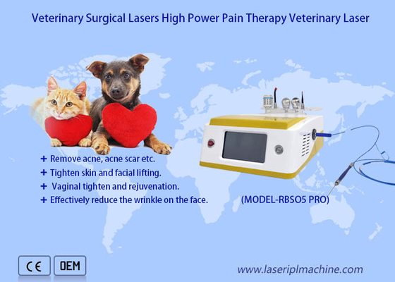 Pets Pain Recovery Surgical 980nm Diode Laser Veterinary Therapy Laser Device