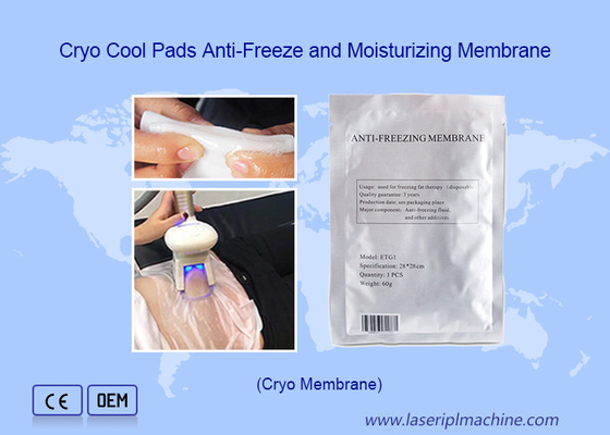 Cryo Antifreeze Membrane Pads Skin Tightening Whitening Moisturizer Handheld