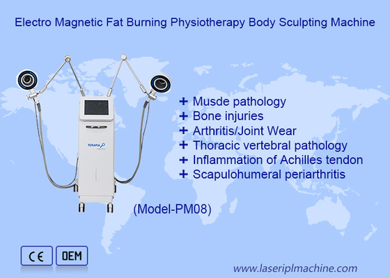 Multilevel Magnetotherapy Device Electromagnetic Physiotherapy Knee Arthritis Relief