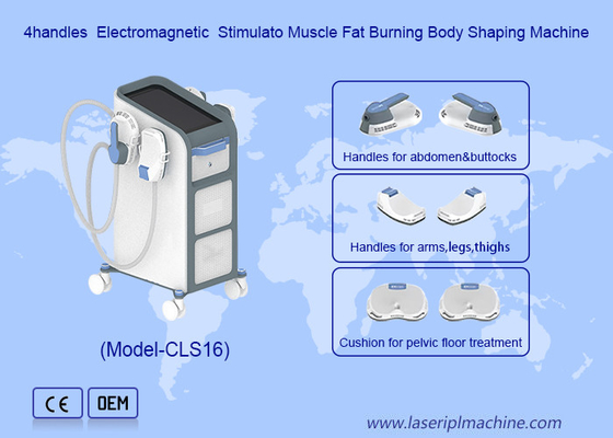 Fat Burning and Shipping Services with EMS Electronic Muscle Stimulate Machine