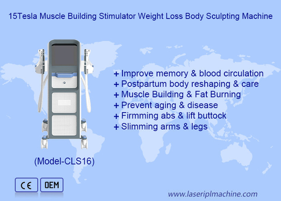 Fat Burning and Shipping Services with EMS Electronic Muscle Stimulate Machine