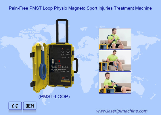 Pain Therapy Sport Injuries Treatment Pmst Loop Magnetic Physio Machine