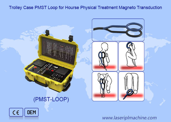 Physio Magneto Therapy Magnetic Field Therapy With 4500 HZ Oscillation