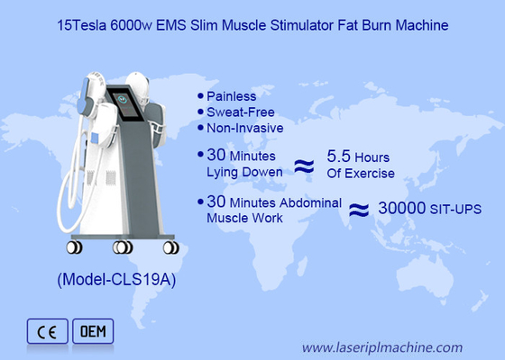Tesla Sculpting  Electo Magenetic Body Slimmingting Machine For Fat Burning and Body Sculpting