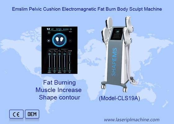 5-200Hz EMS Muscle Stimulator Body Sculpting Machine with Intelligent Air Cooling System