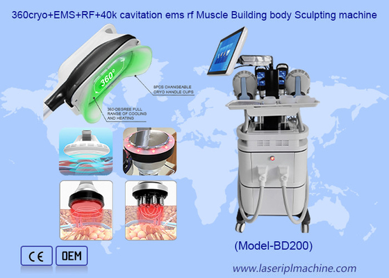 2 In 1 Cellulite Removal EMS Muscle Building Cryotherapy Body Slimming Machine