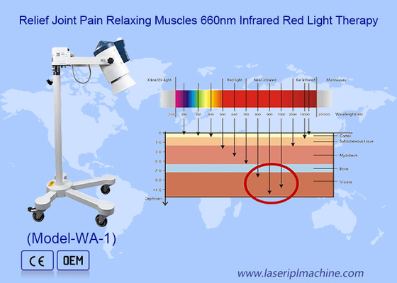 Multifunctional Infrared Light Therapy Machine Water Filtered Relief Muscle Pain