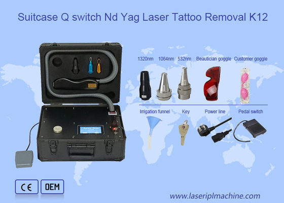 Suitcase 532nm Laser Tattoo Removal Mini Q Switch Nd Yag Beauty Machine