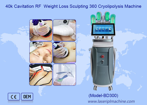 40k Cavitation RFWeight Loss Sculpting 360 Cryolipolysis Machine