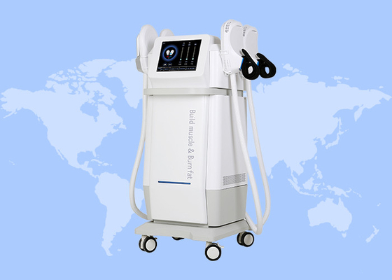 Electromagnetic Muscle Stimulator 4 Probes HIFM RF EMS Slimming Weight Loss Machine