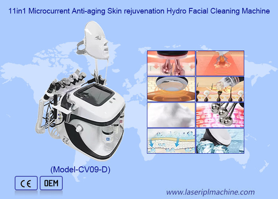 11 in 1 Facial Cleaning Skin Lifting Rf Hydro Microdermabrasion Machine for Exfoliating Deep Cleanser