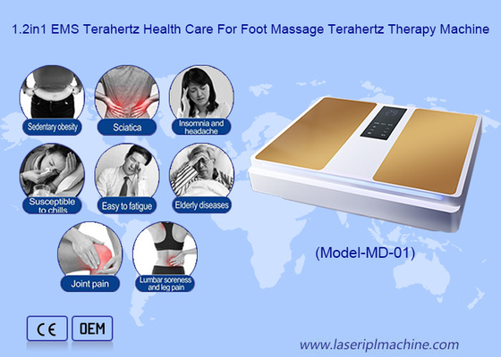 2in1 EMS Terahertz Health Care For Foot Massage Terahertz Therapy Machine