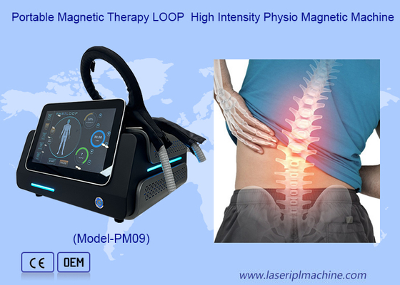 Pmst Loop Pemf Therapy Machine For Human Pain Relief Animals Health Care