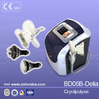 Professional Cryolipolysis Slimming Machine Portable For Fatness Removal