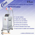 Vertical Fat Freeze Cryolipolysis Slimming Machine With 2 Handles For Beauty Salon