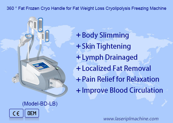 3 Handles Cryolipoliyse Fat Freezing Machine For Double Chine And Body Slimming