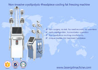 Cryolipolysis Fat Freezing loss Slimming Machine Vacuum Cavitation Rf Machine