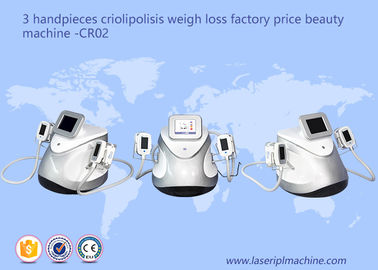 3 Handpieces Cryolipolysis Slimming Machine Weight Loss Beauty Equipment CR02