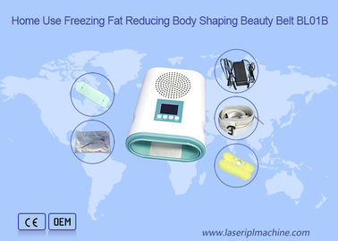 Home Use 12V Fat Loss Cryolipolysis Slimming Machine