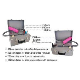 10ns 1064nm 5Hz Q Switch Laser Suitcase Cartridge Tattoo Removal Equipment