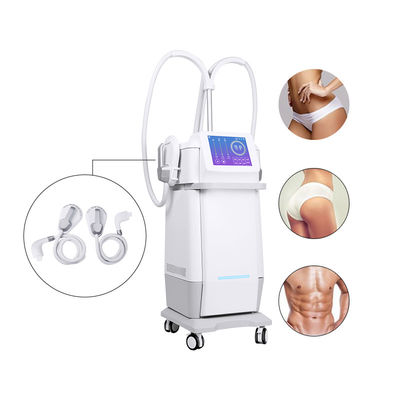 Fat Loss Magnetic 220v Electromagnetic Laser IPL Machine