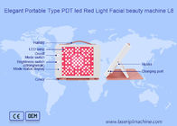 ODM PDT Led Red Light Facial Home Use Beauty Device