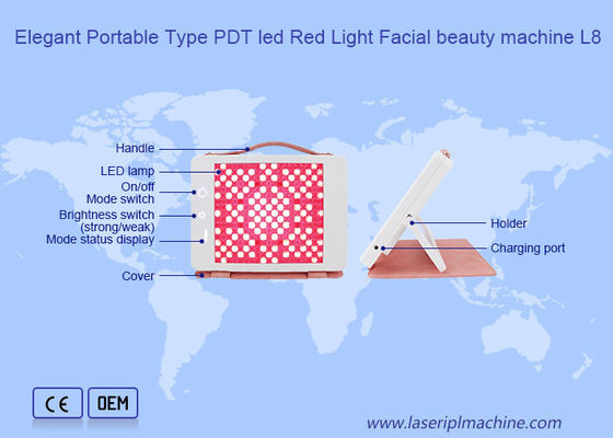 ODM PDT Led Red Light Facial Home Use Beauty Device