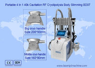 2 Handle 650nm 1mhz Cryolipolysis Slimming Machine