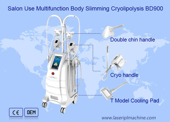 Salon Weight Loss 800VA Cryolipolysis Slimming Machine