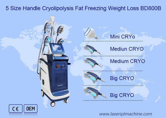 360 Angle Vertical Double Chin Cryolipolysis Slimming Machine