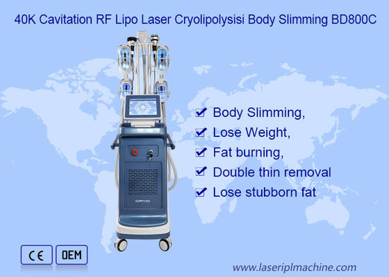 9 In 1 Vacuum 800VA Cryolipolysis Slimming Machine