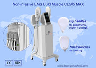 4 Handle Non Invasive Professional Ems Machine For Weight Loss
