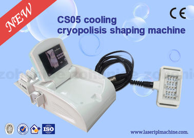 650nm - 550nm Cryolipolysis Slimming Machine for Body Shaping / Skin Tigtening