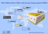 650nm 810nm 980nm 1064nm Diode Laser Hair Removal Portable For Animal Use