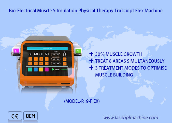 Non Surgical Muscle Sculpting Ems Muscle Stimulation Machine Body Shaping Trusculpt Flex