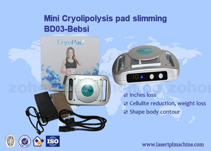 Home Use Cryolipolysis Pad Mini Cryolipolysis Slimming Machine 220V/110V