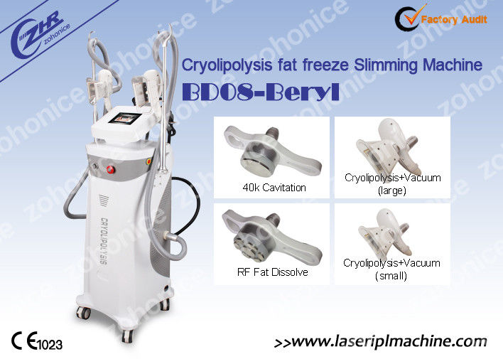 Anti-Cellulite Vacuum Cryolipolysis Slimming Machine With 4 Handles Equipment